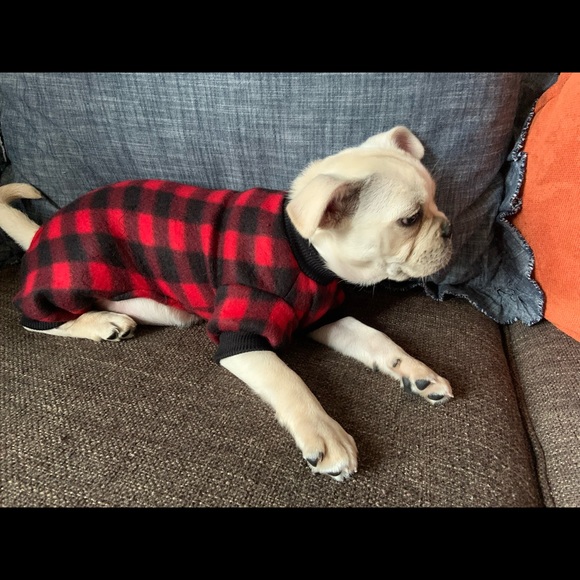Blue Sky Boutique Dog Hp Nwt Buffalo Plaid Dog Pajamas Poshmark